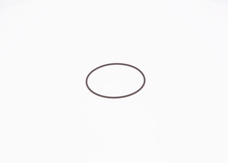 Inel de etansare F 01M 100 371 BOSCH