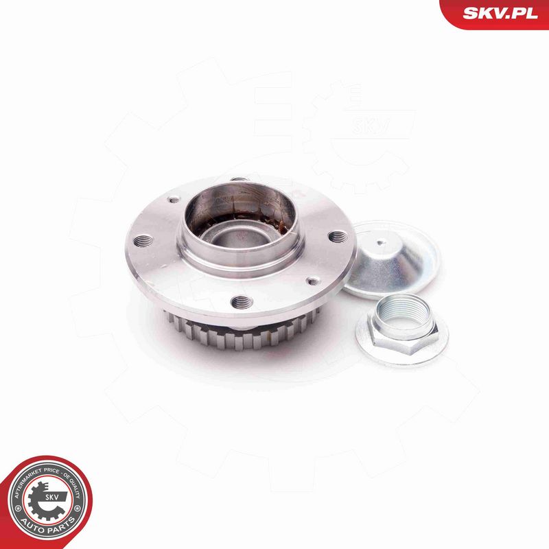 ESEN SKV 29SKV025 Wheel Bearing Kit
