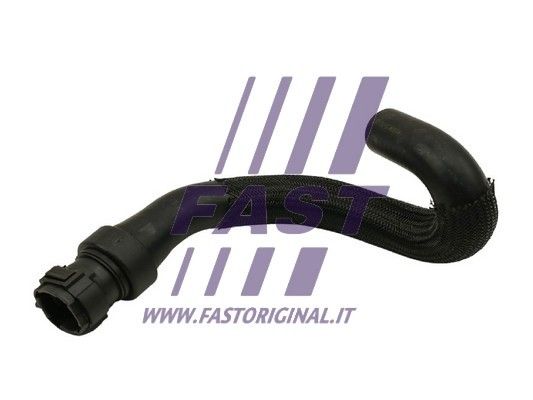 FT61082_1_1.JPG