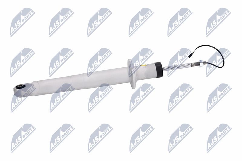 Amort, NTY A-MA-003