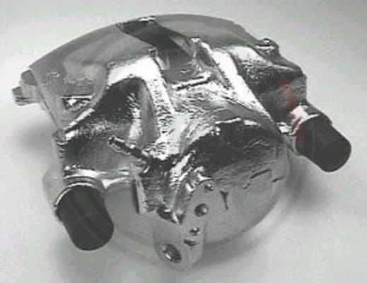 428793.JPG
