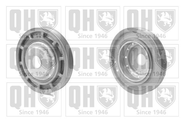 QH_QCD10_GRUPPE.JPG