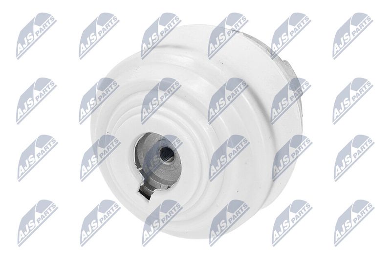 Paigutus, Mootor, NTY ZPS-ME-099