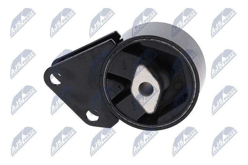 Paigutus, Mootor, NTY ZPS-CH-064