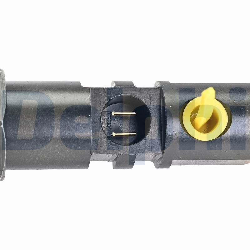 DELPHI R00601D-12B1 Injector
