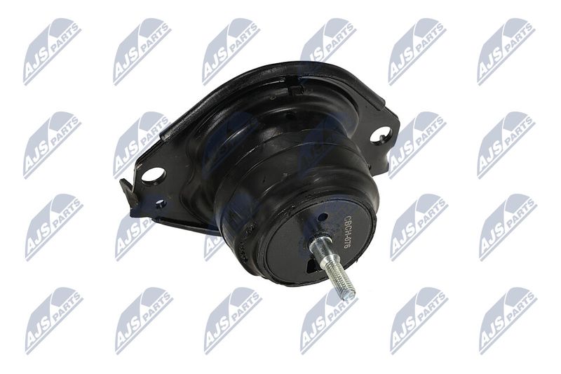 Paigutus, Mootor, NTY ZPS-CH-076