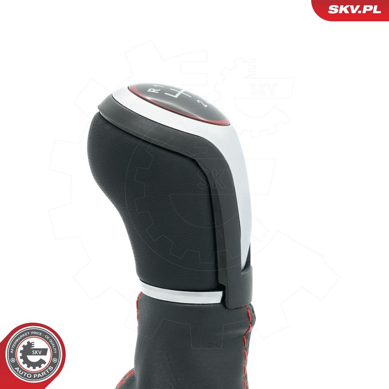 Käigukanginupp, ESEN SKV 63SKV488