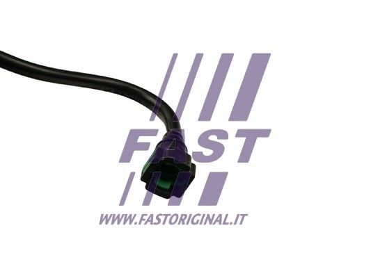 FT61119_3_1.JPG