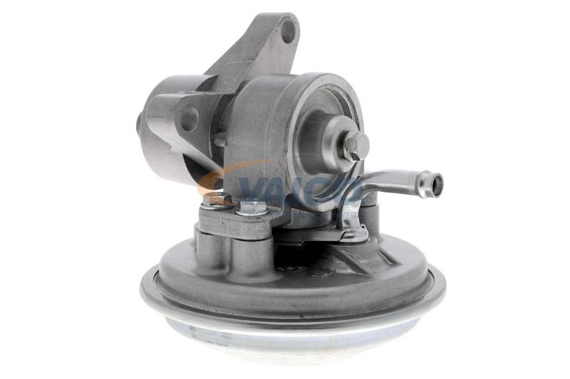 VAICO V25-1908 Mounting, engine
