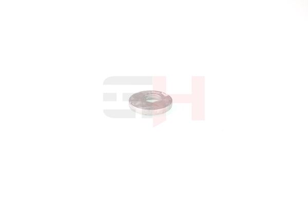 caster shim, sillatala, GH GH-391583