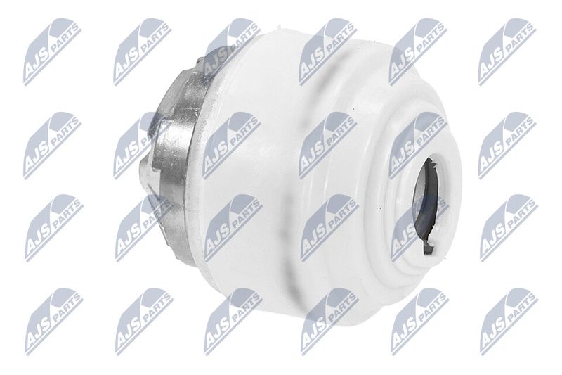 Paigutus, Mootor, NTY ZPS-ME-099