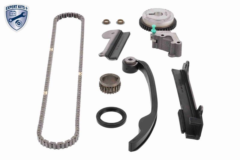ACKOJA A38-10002 Timing Chain Kit