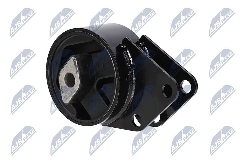 Paigutus, Mootor, NTY ZPS-CH-064