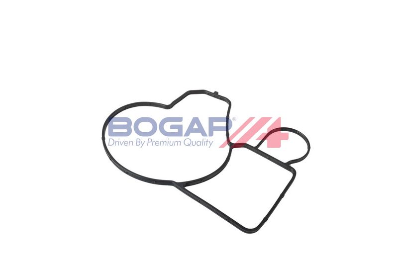 Bomba de Agua BOGAP B4234144 - 6