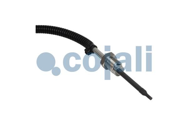 Čidlo, teplota výfukových plynů 2262005