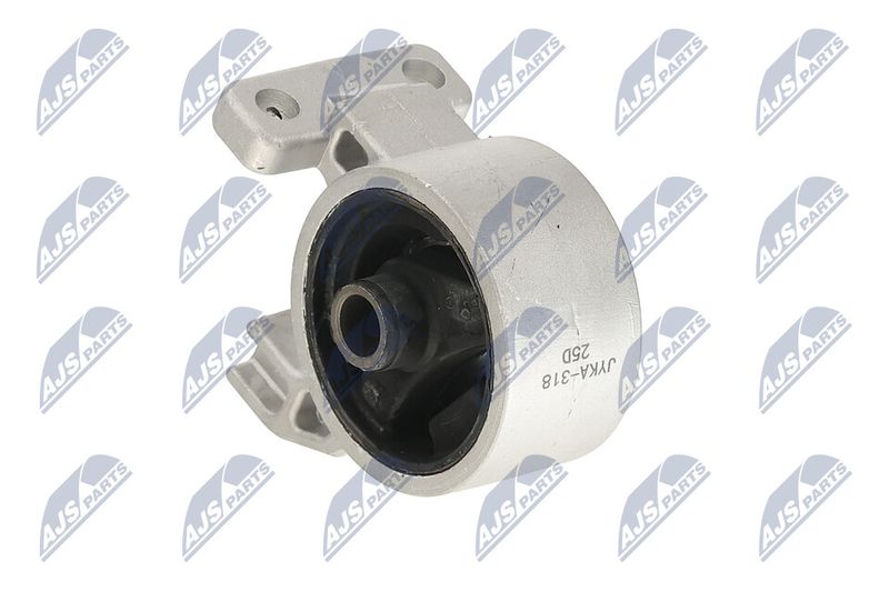 Paigutus, Mootor, NTY ZPS-KA-318