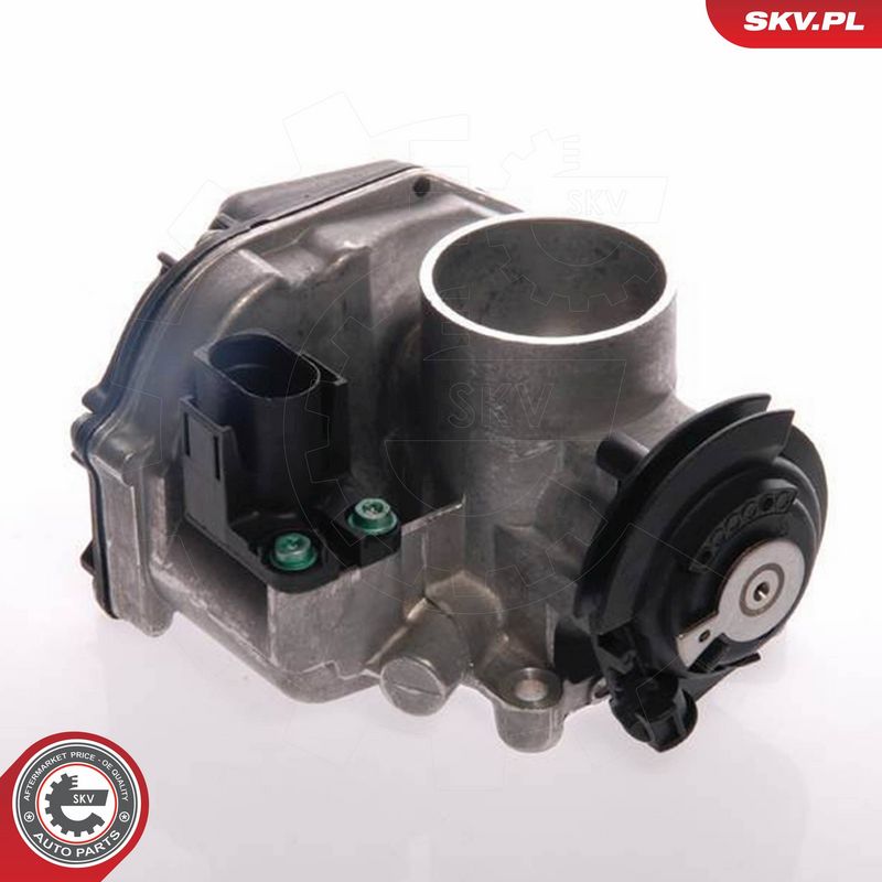 ESEN SKV 12SKV024 Throttle Body