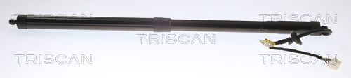 TRISCAN Gasveer, kofferruimte 8710 40301