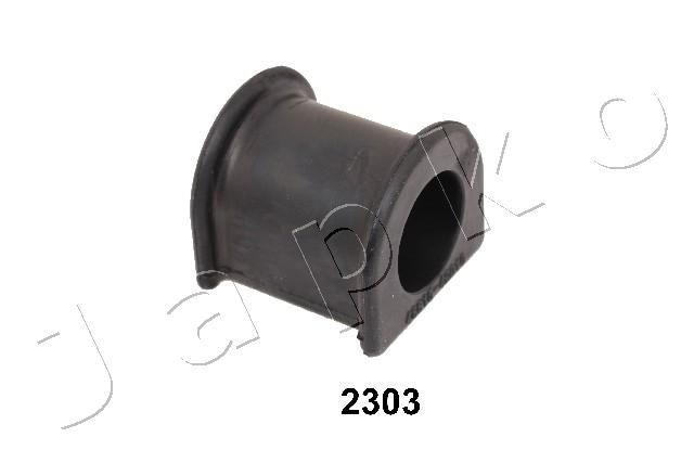 GOJ2303_1.JPG