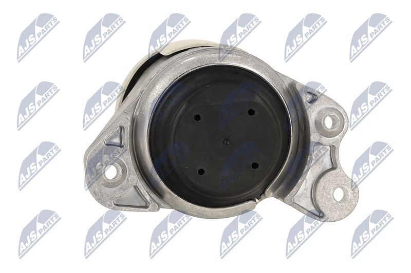 Paigutus, Mootor, NTY ZPS-ME-079