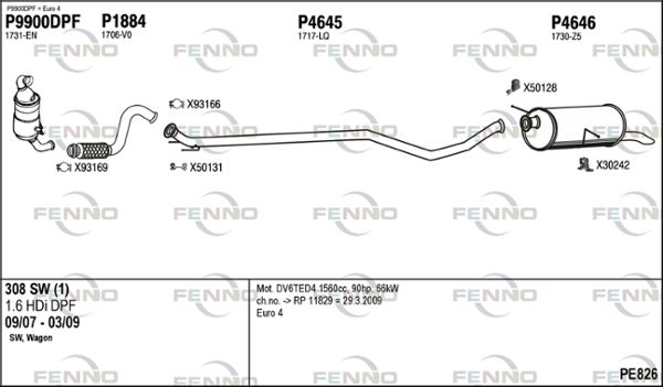 PE826.JPG