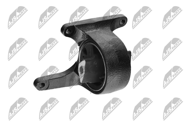 Paigutus, Mootor, NTY ZPS-CH-008