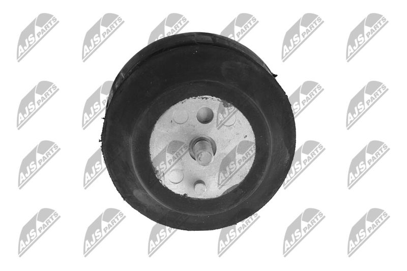 Paigutus, Mootor, NTY ZPS-CH-070