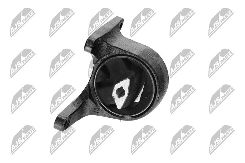 Paigutus, Mootor, NTY ZPS-CH-008