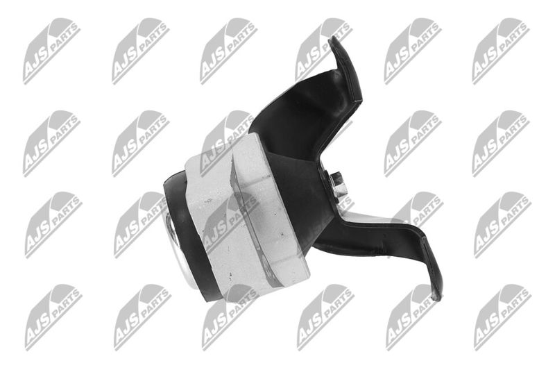 Paigutus, Mootor, NTY ZPS-FR-011