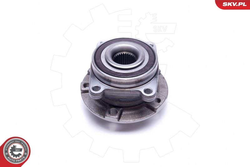 ESEN SKV 29SKV491 Wheel Bearing Kit