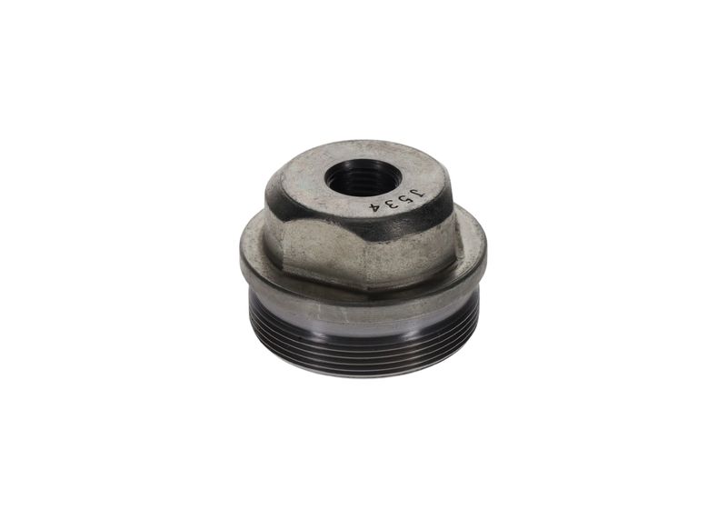 BOSCH F002D12534 Screw