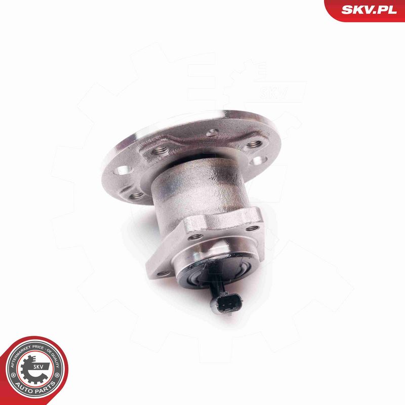 ESEN SKV 29SKV113 Wheel Bearing Kit
