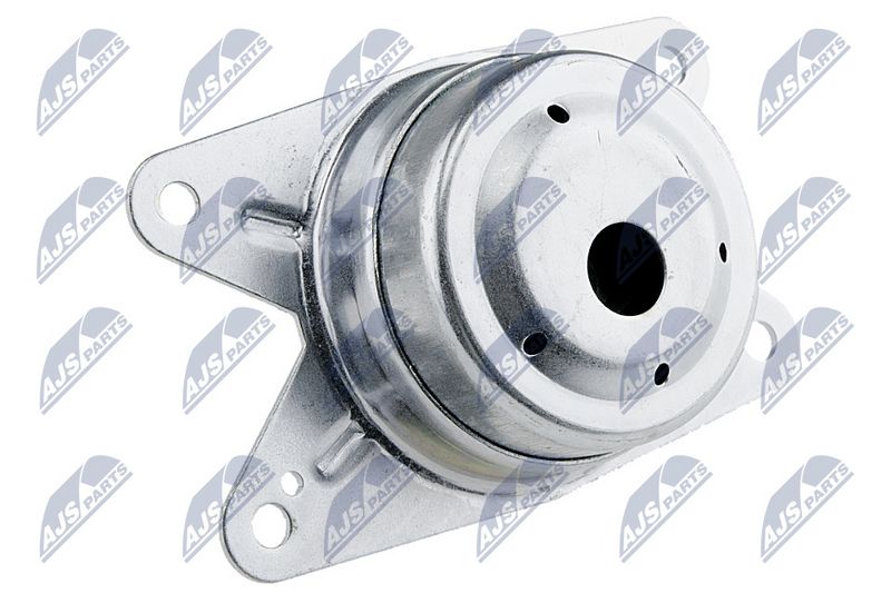 Paigutus, Mootor, NTY ZPS-PL-014