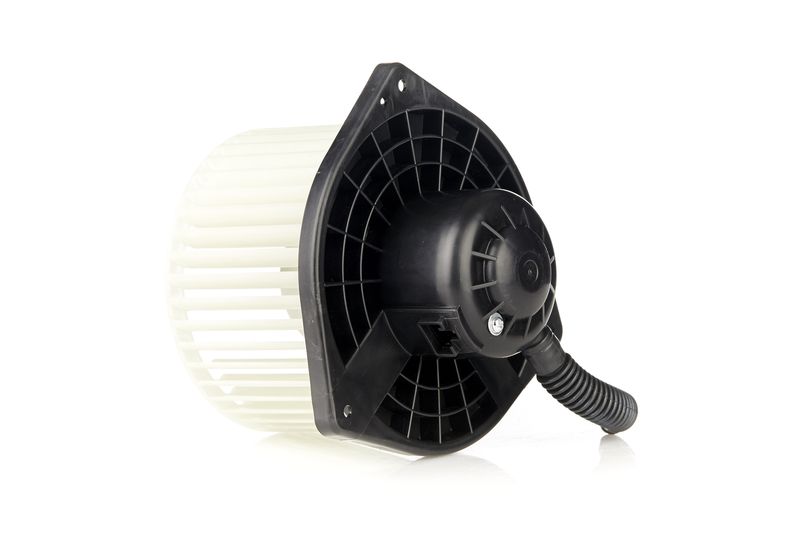 Image 28