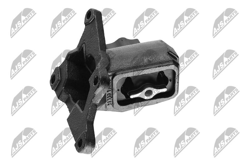 Paigutus, Mootor, NTY ZPS-CH-030