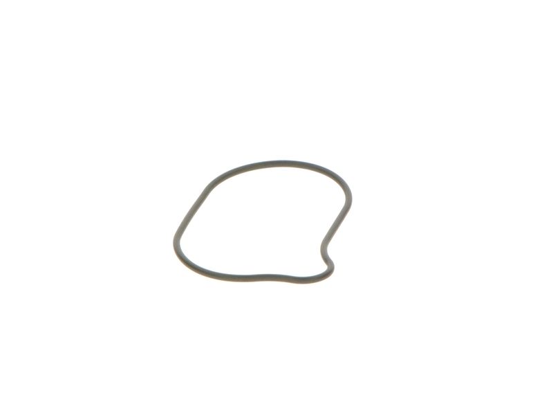 BOSCH 2440210028 Rubber Ring