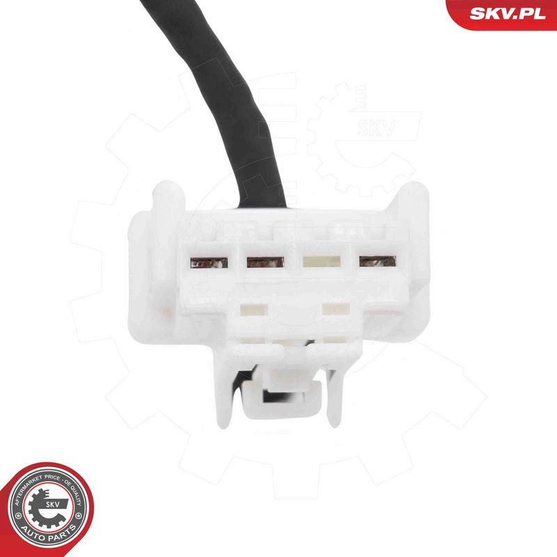 ESEN SKV 52SKV273 Electric Motor, tailgate