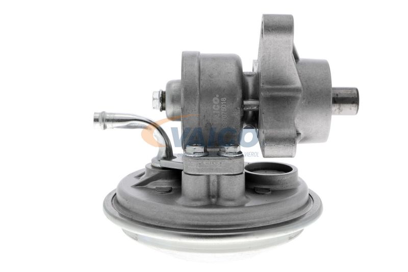 VAICO V25-1908 Mounting, engine