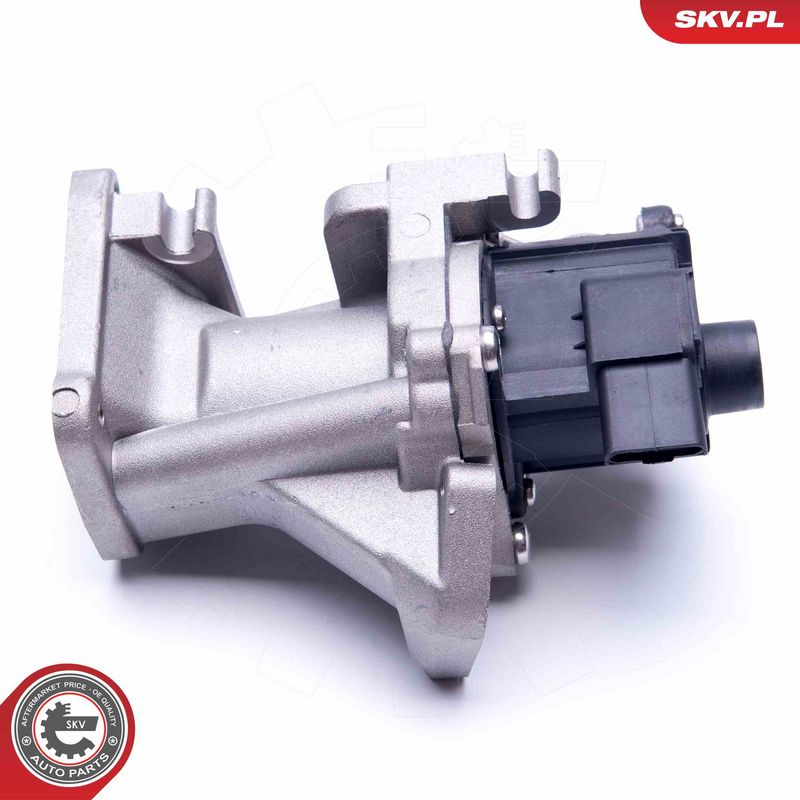 EGR-klapp, ESEN SKV 14SKV171