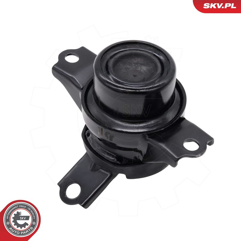 Prekė atitinka OEM kodą: 12305-B1010