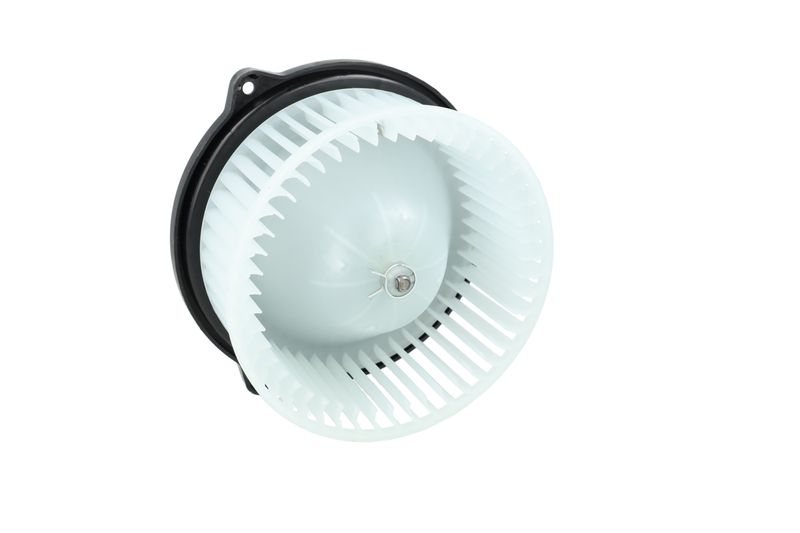 Salongipuhur, NRF 34291