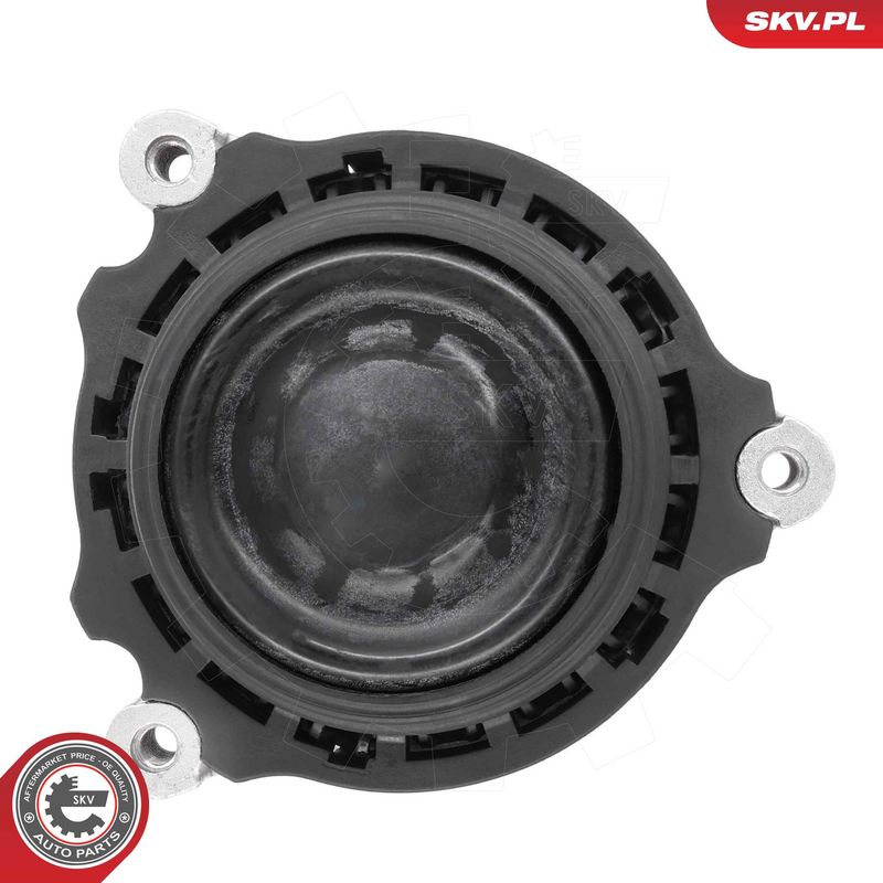 Paigutus, Mootor, ESEN SKV 75SKV285