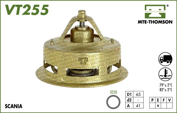 VT255.JPG