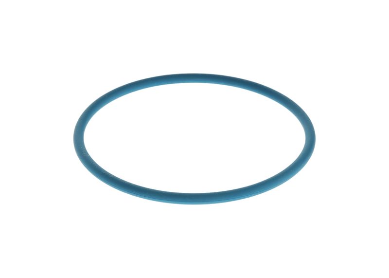 Inel cauciuc F 00N 204 925 BOSCH