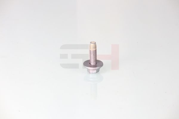 Vedruamordi tugilaager, GH GH-391511
