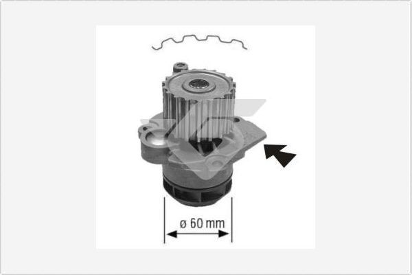 HUTCHINSON Vízszivattyú, motorhűtés WP58