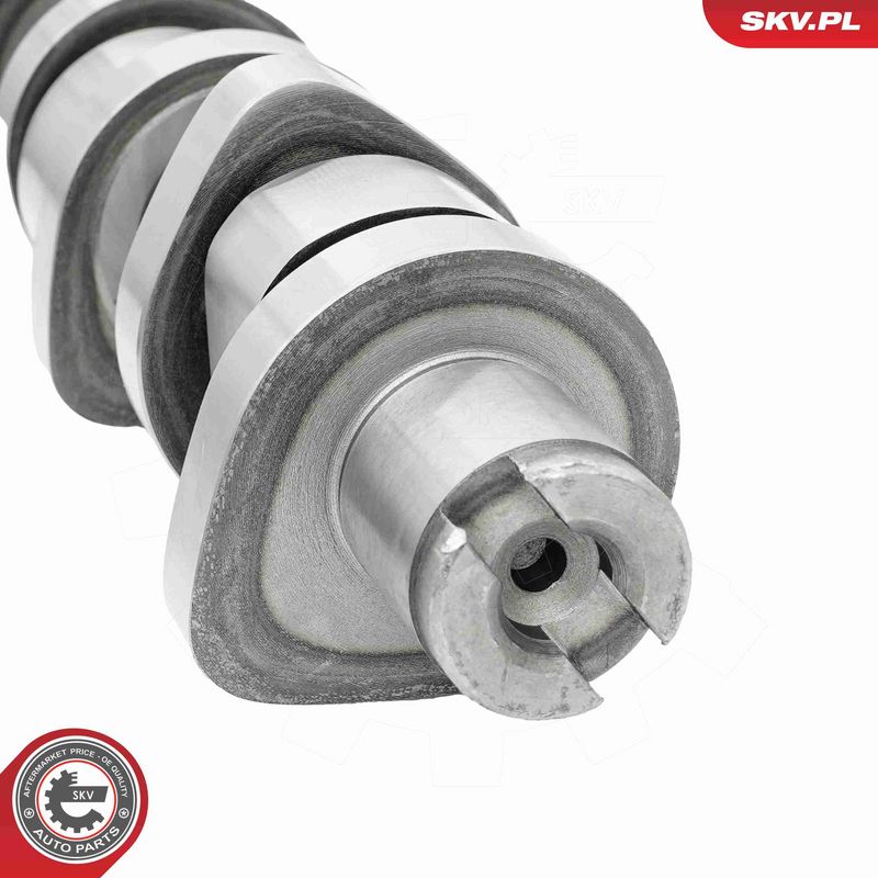 ESEN SKV 80SKV030 Camshaft