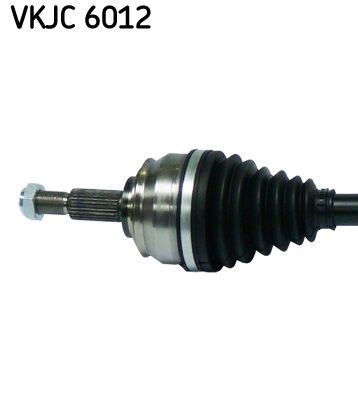 VKJC 6012_2.JPG