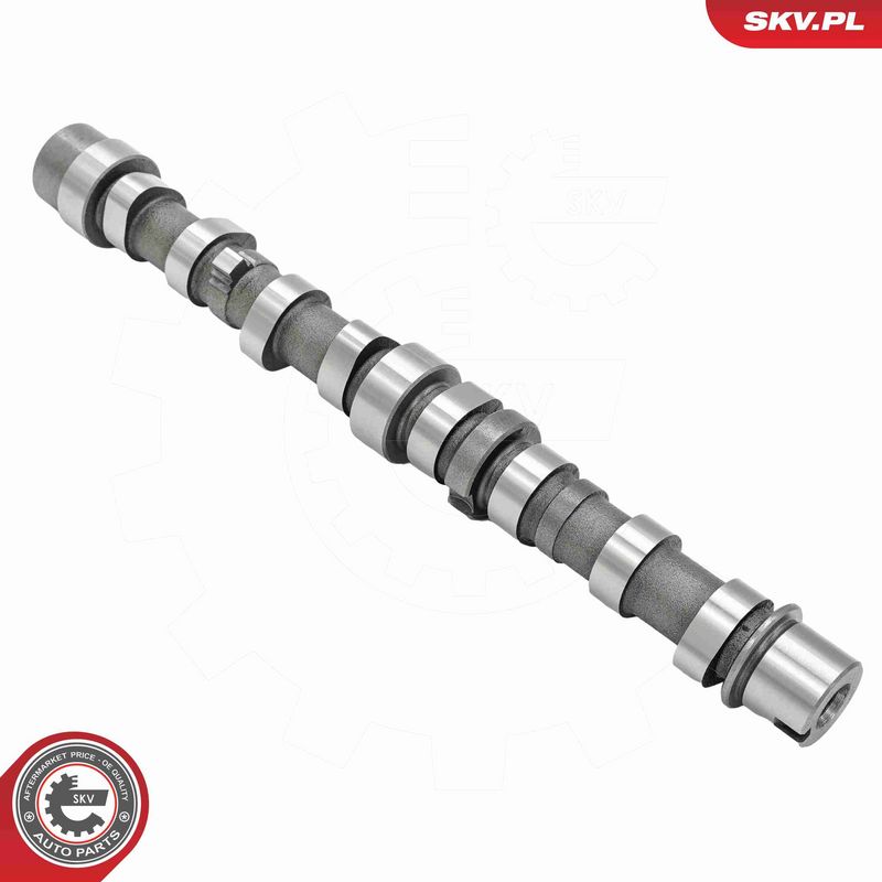 ESEN SKV 80SKV020 Camshaft
