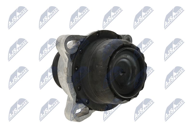 Paigutus, Mootor, NTY ZPS-FR-013